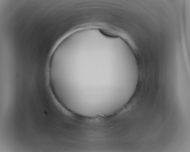 X0000111471524200908101104