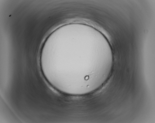 X0000111471525200908101104