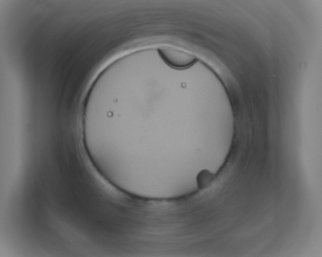 X0000111471526200908101104