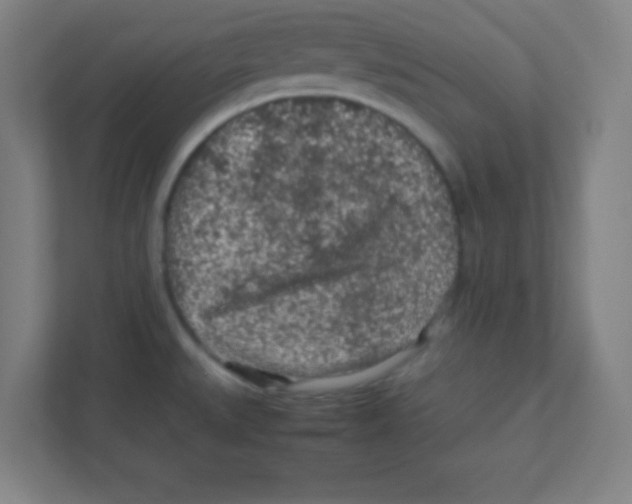 X0000111471527200908101104