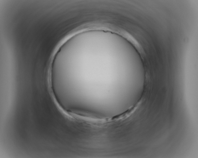 X0000111471528200908101104