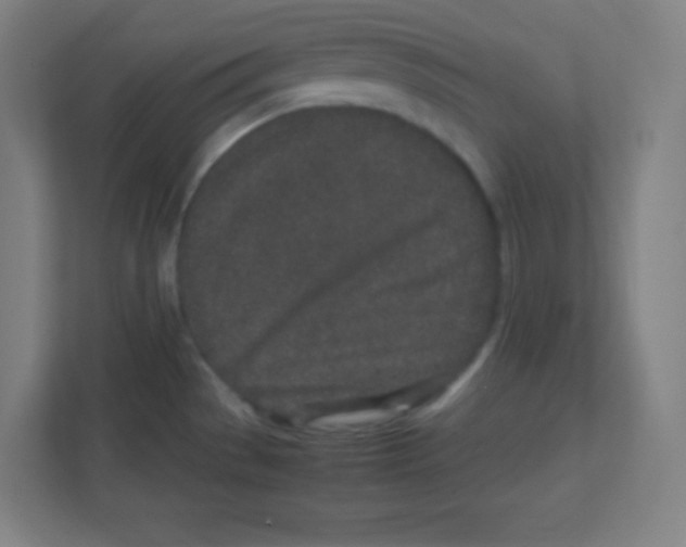 X0000111471529200908101104