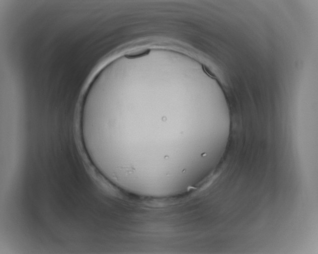 X0000111471530200908101104