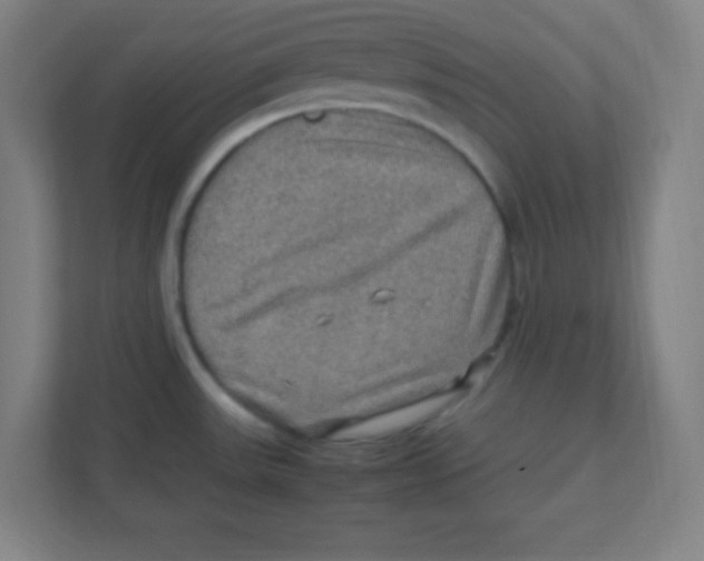 X0000111471531200908101104