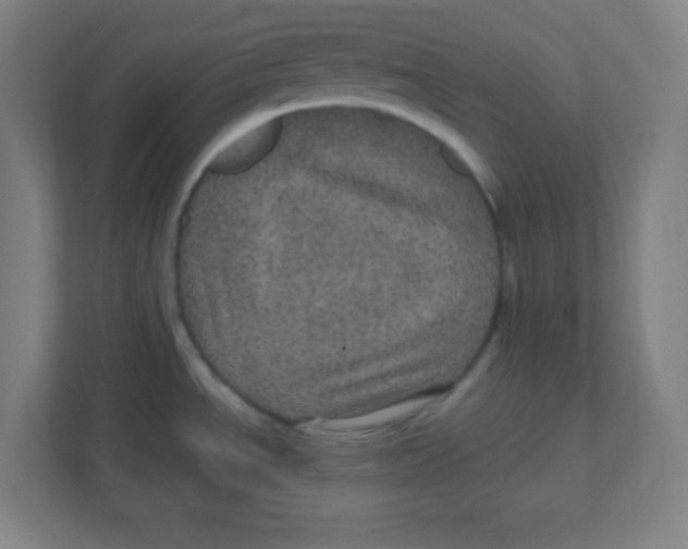 X0000111471534200908101104