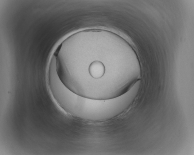 X0000111471536200908101104