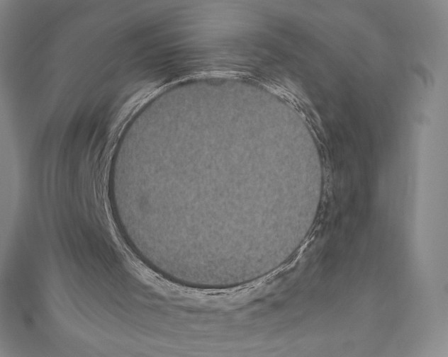 X0000111470001200908241352