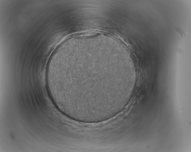 X0000111470002200908241352