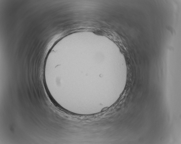 X0000111470003200908241352