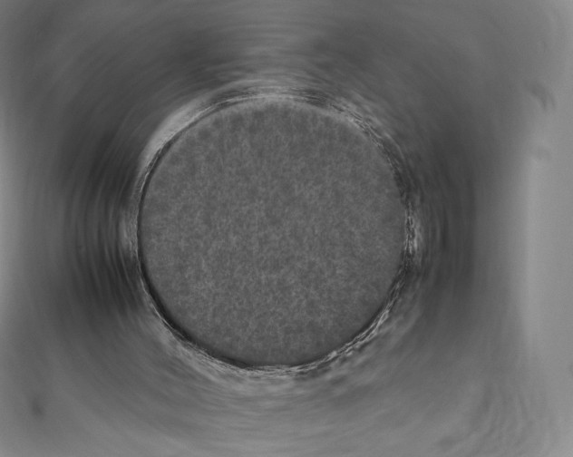 X0000111470004200908241352