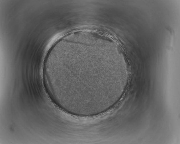 X0000111470006200908241352