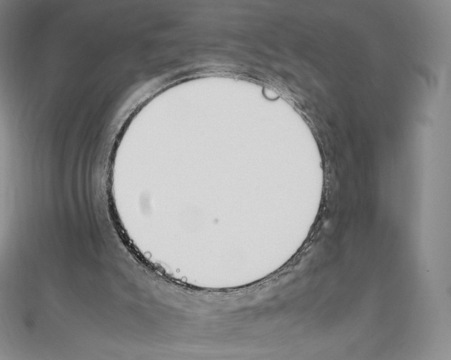 X0000111470007200908241352