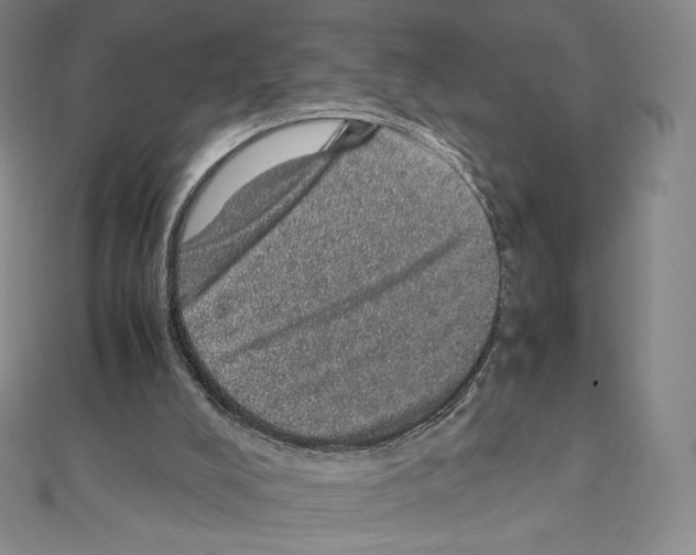 X0000111470008200908241351