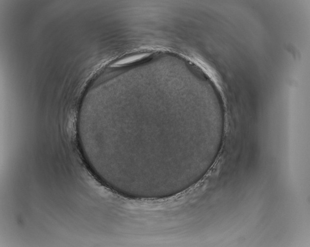 X0000111470009200908241351