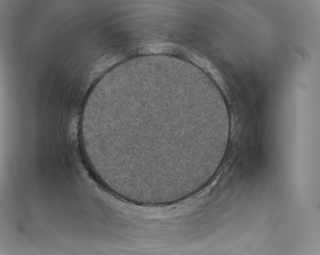 X0000111470010200908241351