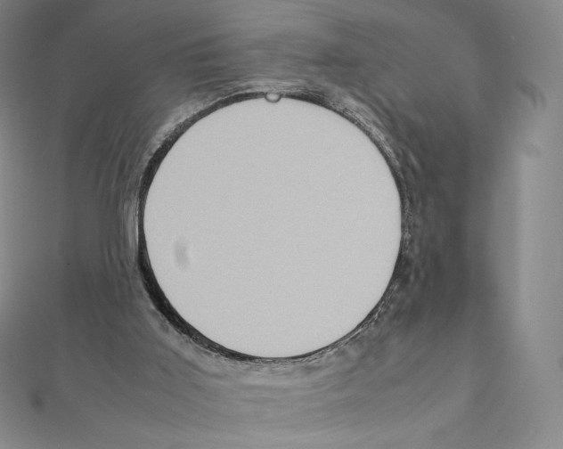 X0000111470011200908241351