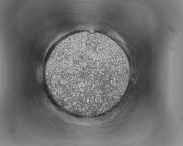 X0000111470012200908241351