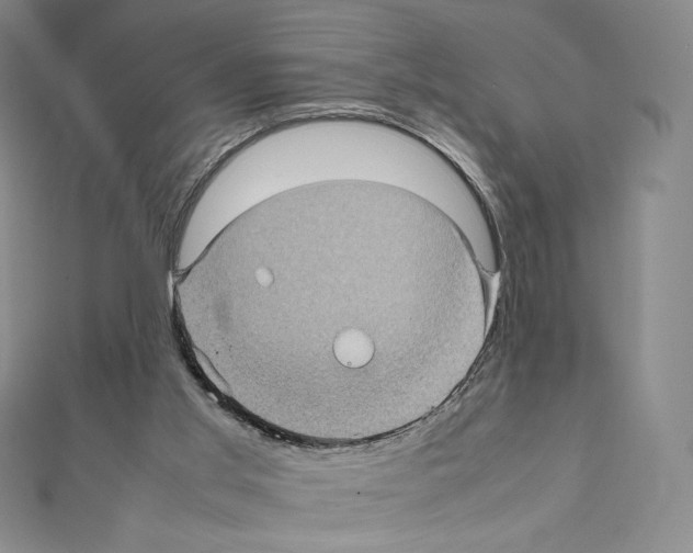 X0000111470013200908241351