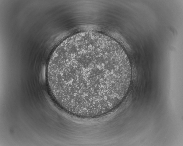 X0000111470014200908241351