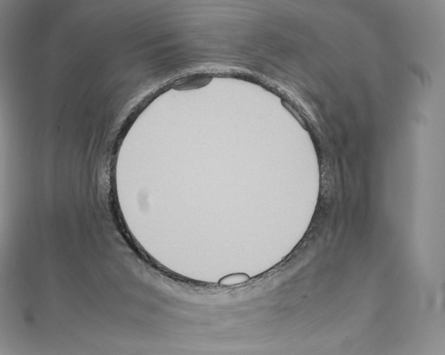 X0000111470015200908241351