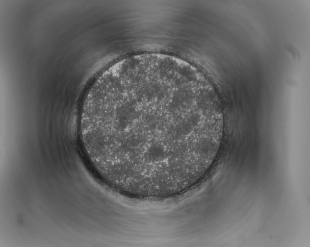 X0000111470016200908241351