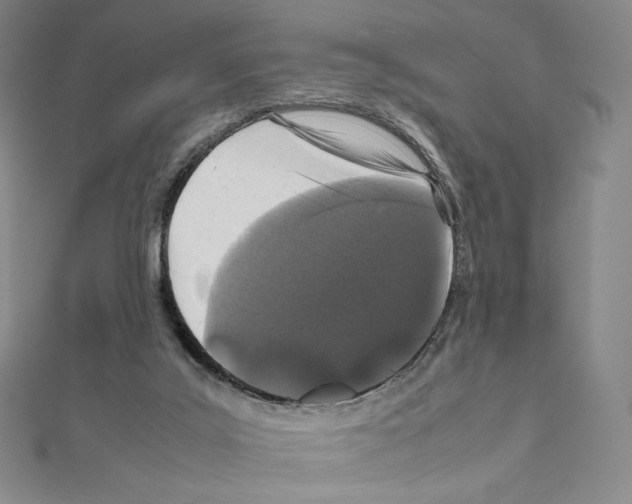 X0000111470019200908241351