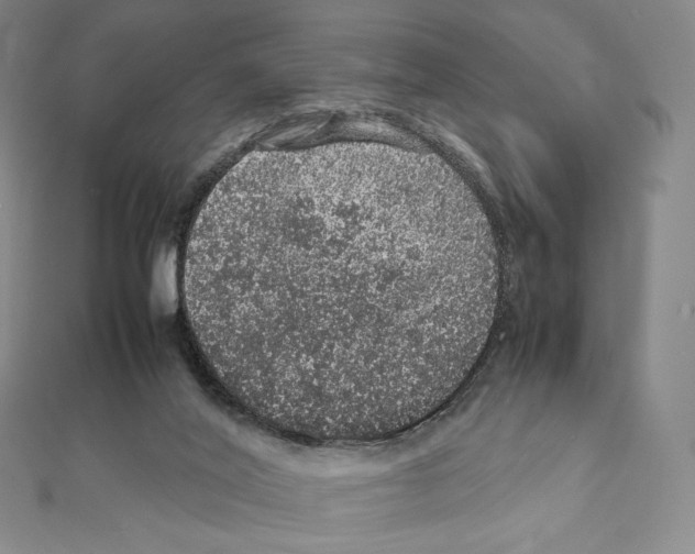 X0000111470020200908241351