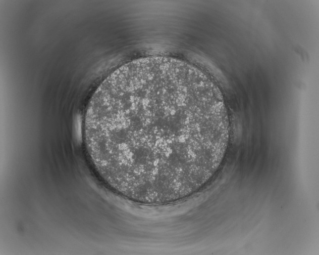 X0000111470022200908241351