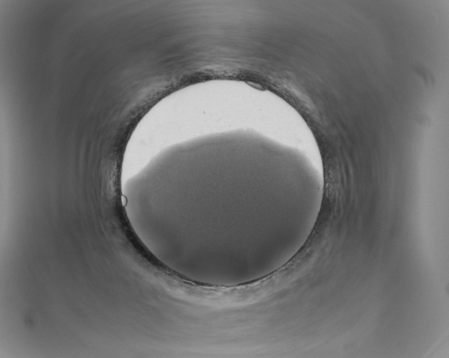 X0000111470023200908241351