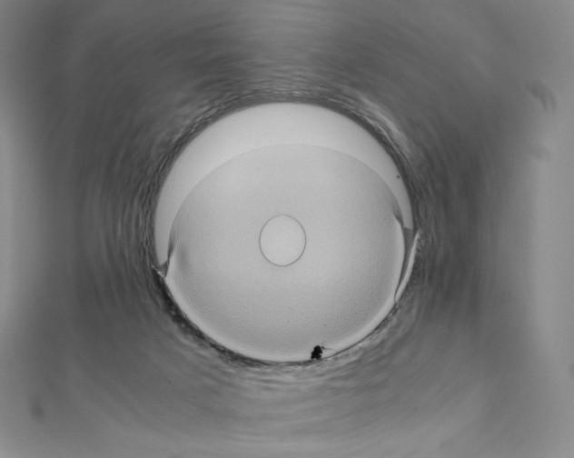 X0000111470025200908241351