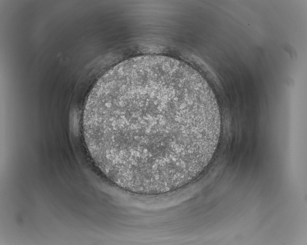 X0000111470026200908241351