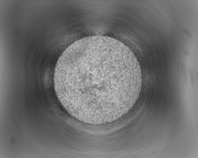 X0000111470030200908241351