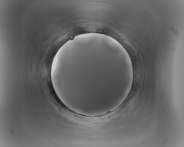 X0000111470031200908241351