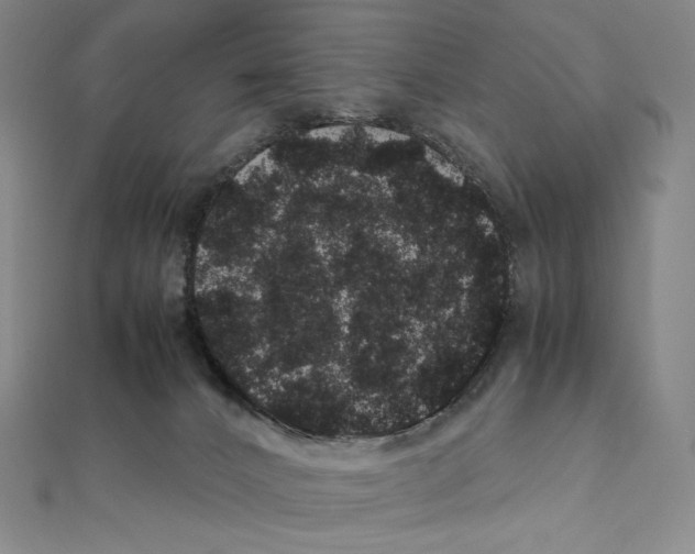 X0000111470032200908241351