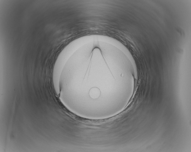 X0000111470033200908241351