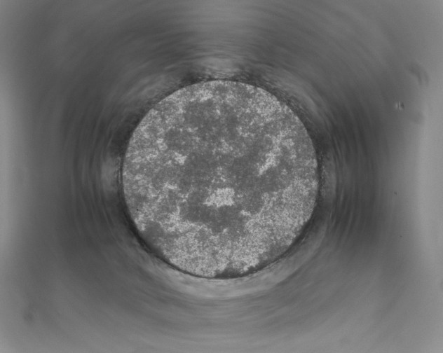 X0000111470034200908241351