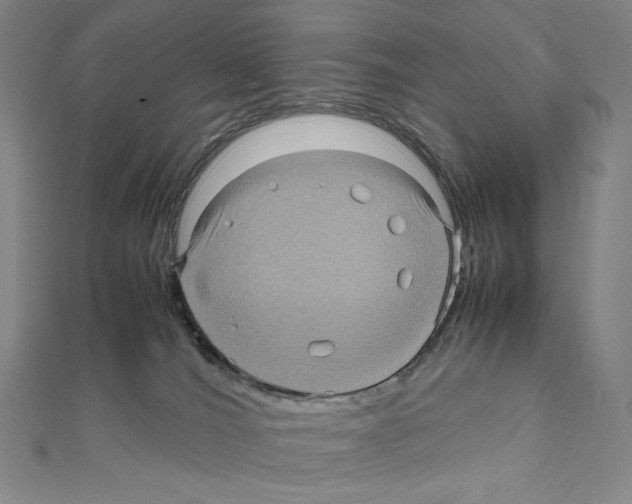 X0000111470036200908241351