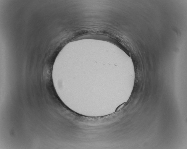 X0000111470037200908241351