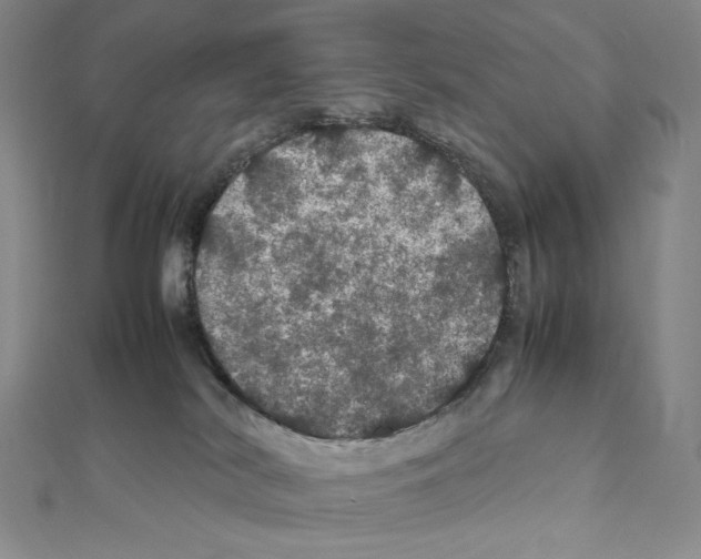 X0000111470038200908241351