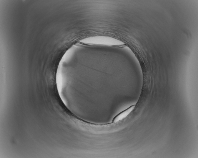 X0000111470039200908241351