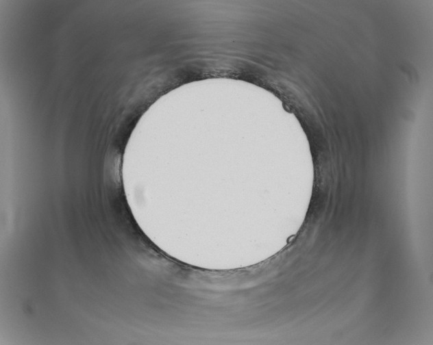 X0000111470041200908241351