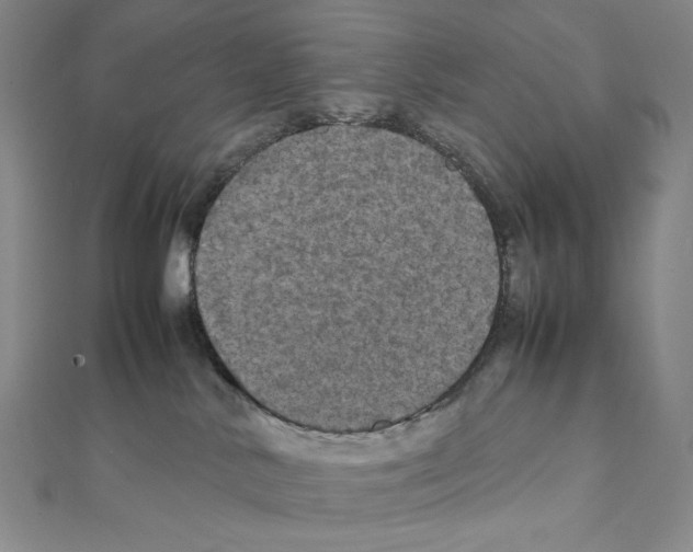 X0000111470042200908241351