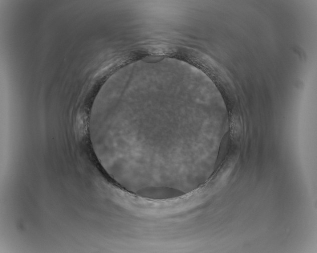 X0000111470043200908241351