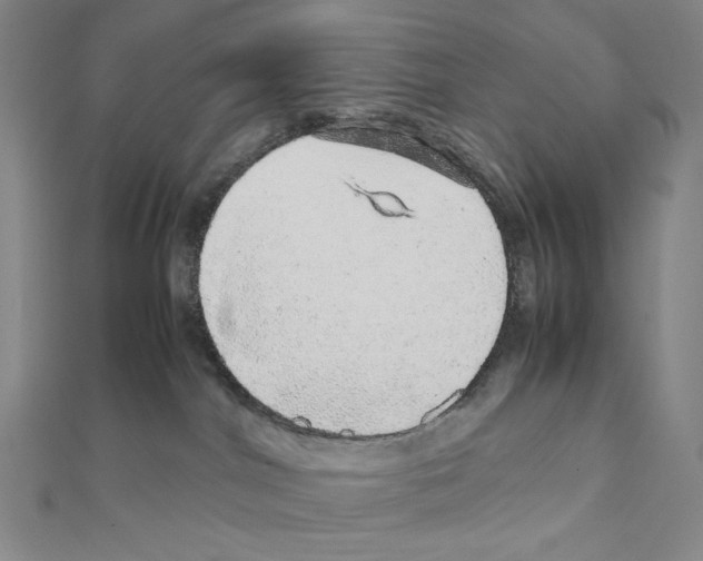 X0000111470044200908241351