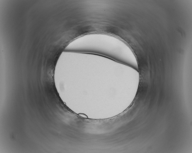 X0000111470045200908241351