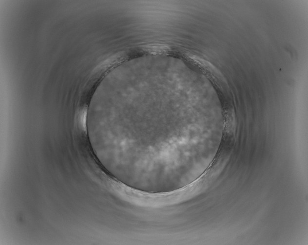 X0000111470047200908241351