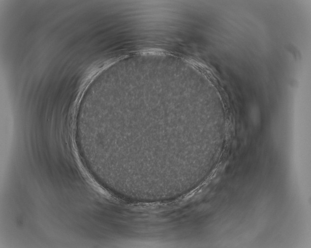 X0000111470049200908241350