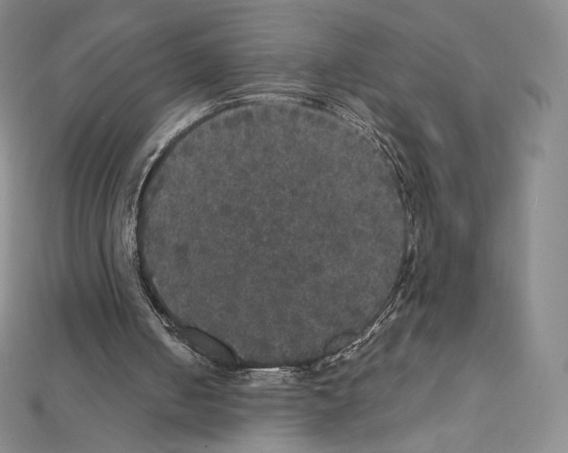 X0000111470050200908241350