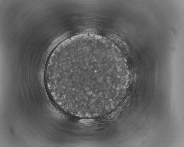 X0000111470051200908241350