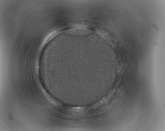 X0000111470053200908241350